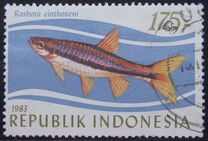 [Tropical Fish, 类型 AQJ]