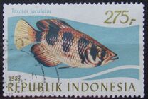 [Tropical Fish, 类型 AQK]