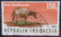 [Wildlife, type ATC]