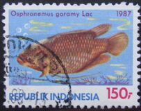 [Fish, tipas AVE]