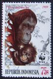 [Endangered Animals - The Orangutan, type AXB]
