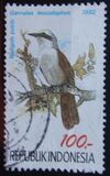 [Birds, τύπος BCI]