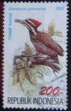 [Birds, τύπος BCJ]