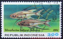 [Fish, type BFJ]