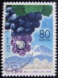 [Prefectural Stamps - Yamanashi, Tipi DXI]