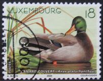 [Ducks, type ARP]
