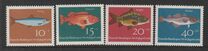 [Youth Health - Fish, típus ID]
