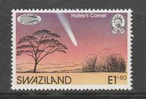 [Appearance of Halley's Comet, type NY]