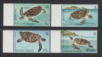 [Turtles, տեսակ JN]