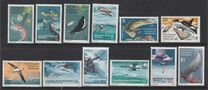 [Marine Life and Aircraft in the Service of Antarctic Research, type W]