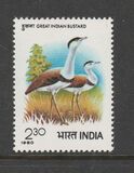 [International Symposium on Bustards, Juipur, ประเภท YP]