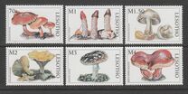 [Mushrooms of the World, type AVZ]