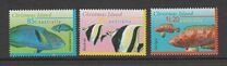 [Fish, type OXX]