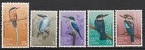 [Kingfishers, type NT]