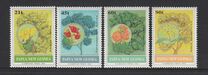 [Flowering Trees, ประเภท XQ]