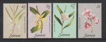 [Orchids, Tipe RG]
