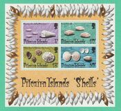 [Shells, Tipi EG]