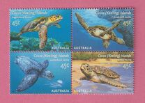 [Turtles, tip OR]