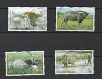 [International Letter Writing Week - Water Buffaloes, type DJJ]