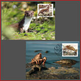 [EUROPA Stamps - Endangered National Wildlife, type CBN]