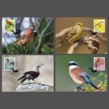 [Definitives - Native Songbirds, tegund CBR]