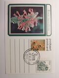 [Flora - Protea Plants - Coil Stamps, type QA]