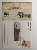 [Namib Desert, type FR]