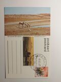 [Namib Desert, type FT]
