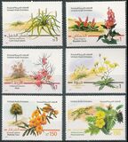 [Flora - Winter Plants, نوع ANG]