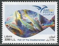 [EUROMED Issue - Fishes in the Mediterranean Sea, type AJD]