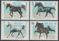 [Arab Horses, 类型 YR]