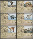 [Fauna - Endangered National Wildlife, type CMU]