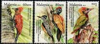 [Birds - Woodpecker, type BUR]