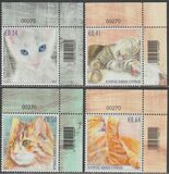 [Cats, type AWM]