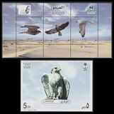 [Birds - Falcons, тип BMT]