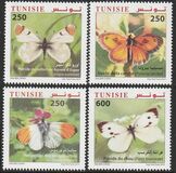 [Butterflies of Tunisia, Tip AZZ]