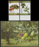 [Figs and Olives, סוג JT]