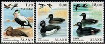 [Birds - Ducks, tegund O]