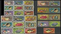 [Fish of the Arabian Gulf, tegund FO]