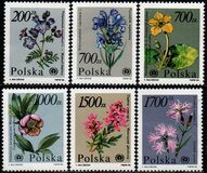 [Protected Plants and Flowers from the Botanical Gardens of Warsaw University, Typ DDM]