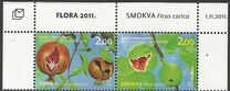 [Flora - Fruits, type LP]