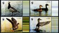 [World Wildlife Fund - Endangered Ducks, Tip AMR]