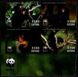 [WWF - Spider Monkey, type JWK]