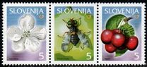 [Fruits in Slovenia, type KH]