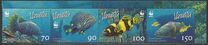 [WWF - Fish, տեսակ AAU]