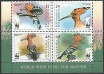 [WWF - Eurasian Hoopoe, タイプ PM]