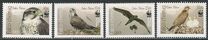 [WWF - Saker Falcon, type TK]