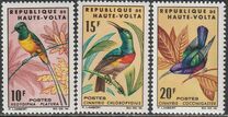 [Birds, Typ CI]
