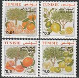 [Citrus Fruits of Tunisia, type BDO]