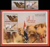 [Camel Festival - Mazayina-Dhafra, نوع ANO]